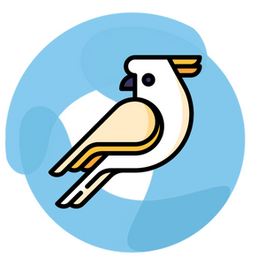 Protect Your Washing